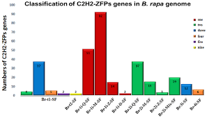 Bondholders will fulfill procedures to receive bond interest and principal at the securities firms where the bonds have been deposited. Comprehensive Genomic Survey Structural Classification And Expression Analysis Of C2h2 Zinc Finger Protein Gene Family In Brassica Rapa L