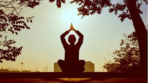 June 21 is marked as international yoga day every year. International Yoga Day 2021 Ministry Of Ayush Ministry Of Youth Affairs Sports To Jointly Run Online Yoga Training Programme