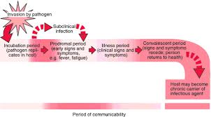 Infection Definition Of Infection By Medical Dictionary Infection Control Nursing Medical Dictionary Nursing Diagnosis