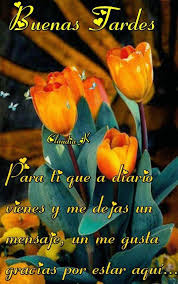 Mensajes De Feliz Tarde Para Celular Para Whatsapp Celular Good Morning Quotes Love Phrases Good Afternoon