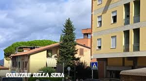 Trend Google: perugia
