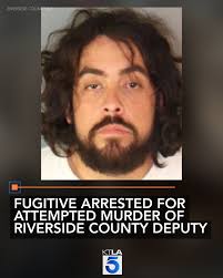 After spending more than a year