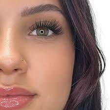 THE LASH & SUGAR COMPANY