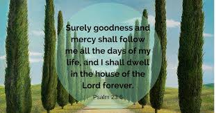 Surely goodness and mercy shall follow me. Daily Bible Verse Peace Psalm 23 6 Esv