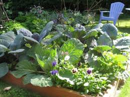 If your garden is small it's important to make the best use of the space you. Garden Layout Ideas The Old Farmer S Almanac