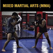 When i finally took the jump to open up a. Classes Arizona Combat Sports
