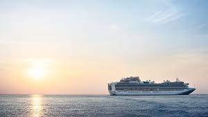The dates are usually automatically downloaded in a date folder using windows live photo gallery. Princess Medallionclass Download Medallionclass App Princess Cruises