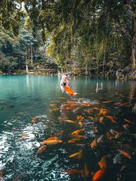 The Beauty Of Cicerem Lake Di 2020 Indonesia Mengagumkan Pedesaan