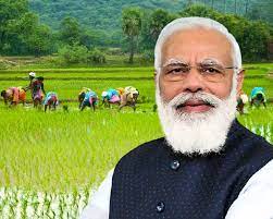 Happy New Year Farmers: Modi to transfer next installment of PM KISAN and  equity grant on Jan 1