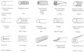 Ib Dt Lesson 1 Raw Materials Natural Synthetic Fibres