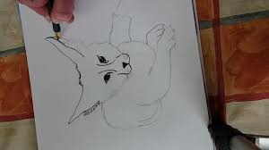 Enhance the ears and join the ovals, make a base for the body. Drawing For Beginners Fennec Fox Youtube