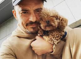 Looking for a dog friendly hotel? Orlando Bloom Continues Search For His Lost Dog Mighty Missing 1 Week It Rsquo S Been Heartbreaking People Com