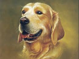 Cùng với tục khai bút đầu năm, người việt còn có thói quen xin chữ và cho chữ vào những ngày tết cổ truyền của dân tộc. Tpyseb6ebh2rbm