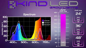 But hid lights or high intensity discharge like i said that includes your hps or high powered sodium light and then you're mh or metal halide light. Led Vs Hps Led Grow Light Throwdown Youtube