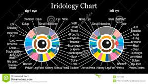 Iridologist Chart Iriscope Iridology Camera Iriscope