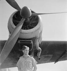 World war ii forces of britain in egypt ...