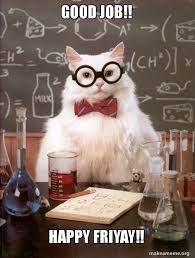 Top 23 great job memes for a job well done that you ll want. Good Job Happy Friyay Chemistry Cat Make A Meme