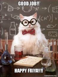 We did not find results for: Good Job Happy Friyay Chemistry Cat Make A Meme