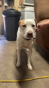 I found this postcard in England many years ago. I would love to know if  the lady in the photo is the sender or if it is an image of a well