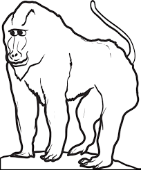 Instant digital download ~ no physical copy. Printable Baboon Coloring Page For Kids Supplyme