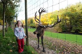 Gondorf eifel beste preise # exklusive deals. Gasthaus Herrig Eifler Genusse Und Gastlichkeit Vom Feinsten Eifelpark Gondorf