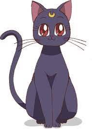 Venus had taken up knitting, and mercury started studying auto repair at the local. Luna Crystal Sailor Moon Wiki Fandom