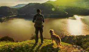 150 Nature Inspired Dog Names For Adventure Outdoor Lovers