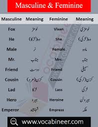 English vocabulary !!अमीर कैसे बनें फुल गाइड : Masculine And Feminine With Urdu Meanings Download Pdf Free English Vocabulary Words Basic English Sentences English To Urdu Dictionary