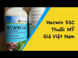 Hecwin 5SC
