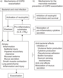 Image result for COPD Exacerbation Prevention
