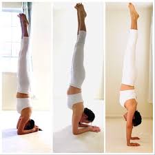 Inversion Progress Yoga Inversions Forearm Stand Headstand