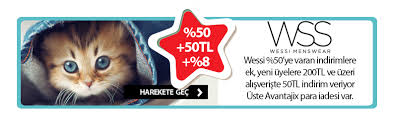 Avantajix Adli Kullanicinin Dunya Kediler Gunu Kutlu Olsun Panosundaki Pin Kedi