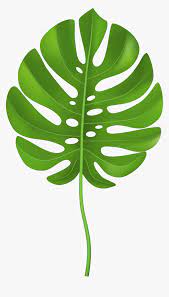 Pngtree provides you with 564 free transparent palm leaves png, vector,. Tropical Palm Leaf Transparent Png Clip Art Image Clip Art Palm Leaf Png Download Transparent Png Image Pngitem