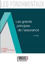 Cet Ouvrage De Reference Offre Une Vision Complete Du Marche De L Assurance Et Permet De Mieux Comprendre Les Techniques Propres A Chaque Ty Ebook Books Ebooks