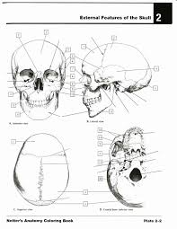 Netter 039 S Anatomy Coloring Book Elegant 21 Netters Anatomy Coloring Book In 2020 Anatomy Coloring Book Cat Coloring Book Enchanted Forest Coloring Book