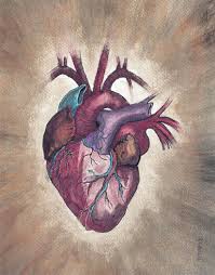 How To Make An Interesting Art Piece Using Tree Branches Ehow Anatomical Heart Art Medical Drawings Anatomy Art Draw two identical circles side by side. anatomical heart art