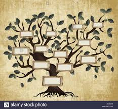 illustration of family tree on aged paper vector eps10