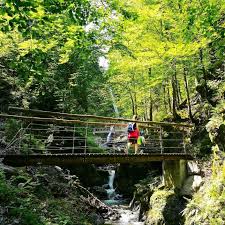 Eifersbacher Wasserfall Urwald In St Johann In Tirol Tirol Wandern Tirol Ausflug