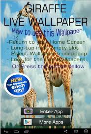 How can you tell if an android app is safe? Cute Giraffe Wallpaper For Android Apk Download