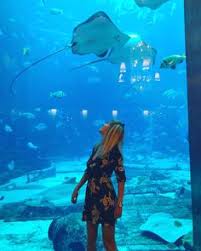 Ossiano Dining In An Aquarium Dubai Offers Dubai