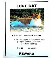 Instantly design your perfect posters free using online poster maker! 63 Standard Missing Animal Flyer Template Maker With Missing Animal Flyer Template Cards Design Templates