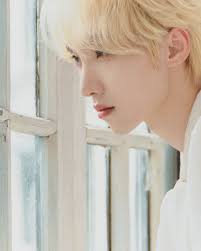 XNINE International...