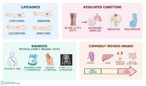 Blunt Trauma What Is It Diagnosis Outcomes And More Osmosis