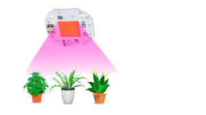 For instance, mars hydro ts 600w led grow light is a viable option for its reasonable price and effective features. Cob Led Grow Light Ein 4 Punkte Ratgeber E Hack