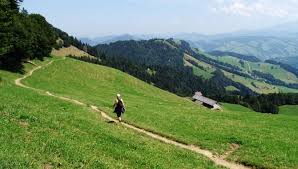 auf diesem abschnitt geniesst man wundervolle ausblicke ins toggenburg wanderung ausblick touren