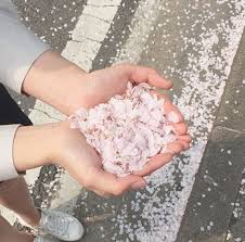 Check spelling or type a new query. Plant Girl In Space Pastel Aesthetic On We Heart It