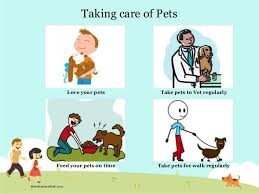 Take Care Your Pet Do You Want To Improve Your Pet S Health Please Click Share And Pin It Love Your Pet Your Pet Pet Care