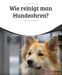 Pin Auf Gesundheit