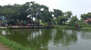 Tempat Pemancingan Di Surabaya Bisa Membuat Pikiran Fresh