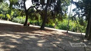 We did not find results for: Pedion Toy Arews Apo Parko Egine Gketo Diamartyria Katoikwn Eikones Ellada Iefimerida Gr